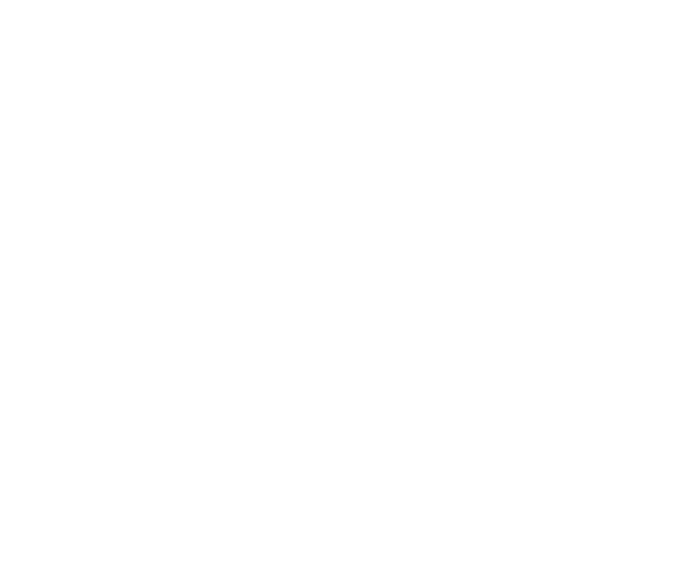 Vanlife Werkstatt Logo